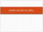 EXXON VALDEZ OIL SPILL