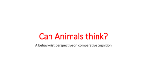 Can Animals think?