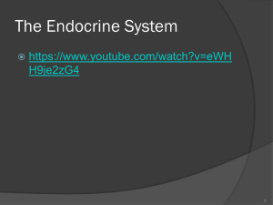 The Endocrine System - respiratorytherapyfiles.net