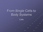 From Single Cells to Body Systems