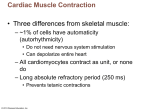 Pacemaker potential - Anatomy and Physiology