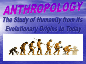 anthropology - B