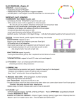 Plant Responses Notes (Campbell, ch39)