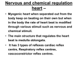 Nervous and chemical regulation heart –