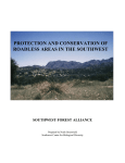 Protection and Conservation of Roadless Areas in the Southwest
