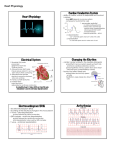 Heart Physiology Cardiac Conduction System Electrical System