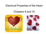 Electrical Properties of the Heart Chapters 9 and 10