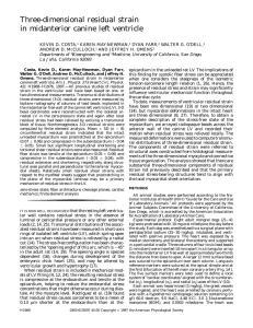 Three-dimensional residual strain in midanterior canine left ventricle