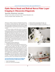 Optic Nerve Head and Retinal Nerve Fiber Layer Imaging in