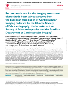 Recommendations for the imaging assessment of prosthetic heart
