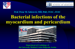 Bacterial infections of the myocardium and pericardium.