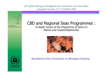 CBD and Regional Seas Programmes :