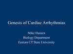 Genesis of Cardiac Arrhythmias