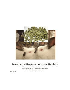 Nutritional Requirements for Rabbits