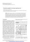 The pressure gradient in the human respiratory tract