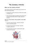 The Coronary Arteries - Sydney Cardiothoracic Surgeons