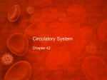 CirculatorySystem