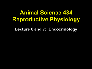 Endocrinology of reproduction I (Lecture 6 and 7 combined)
