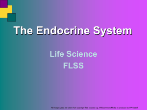 L7 - Endocrine system - Moodle