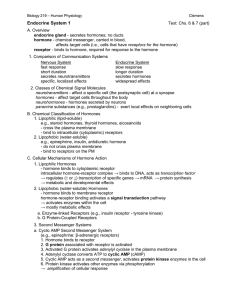 Endocrine System 1 - Napa Valley College