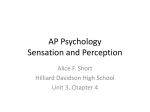 AP Psych – Ch 4 – Sensation and Perception PRESENTATION