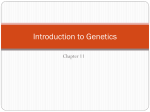 Ch. 11 - Introduction to Genetics