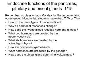 Endocrine functions of the pituitary and pineal glands 1/20