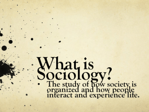 (Sociology theories are just different views about how society works