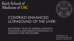 contrast-enhanced ultrasound of the liver