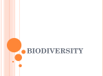biodiversity - WordPress.com