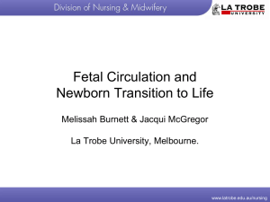 Fetal circulation - La Trobe