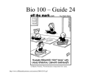 guide2409.ppt [Compatibility Mode]