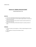 Module # 29 - CEREBRAL VASCULAR ACCIDENT