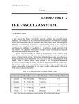 THE VASCULAR SYSTEM