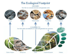 What are ecological footprints?