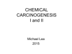 chemical carcinogenesis - Rutgers New Jersey Medical School