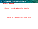 7.1 Chromosomes and Phenotype