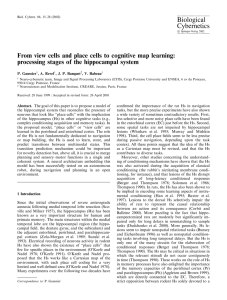 From view cells and place cells to cognitive map learning