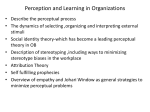 5. Perception and Learning in Organizations