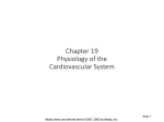 Ch. 19/22 Physiology of the Cardiovascular System