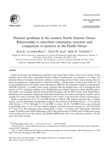 Nutrient gradients in the western North Atlantic Ocean