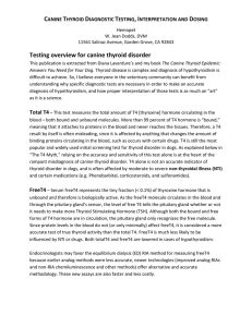 Testing overview for canine thyroid disorder