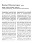 Expression and Endocytosis of Lysosomal