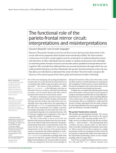 The functional role of the parieto-frontal mirror circuit: interpretations
