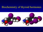 Biochemistry of thyroid hormones