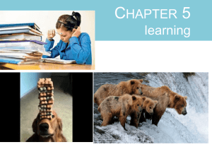 learning - Christopher J. Holden, Ph.D.