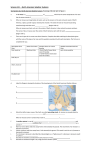 Air masses and extreme weather student booklet