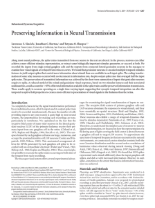 Preserving information in neural transmission - CNL