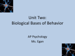 Unit Two: Biological Bases of Behavior