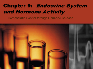Endocrine System and Hormone Activity